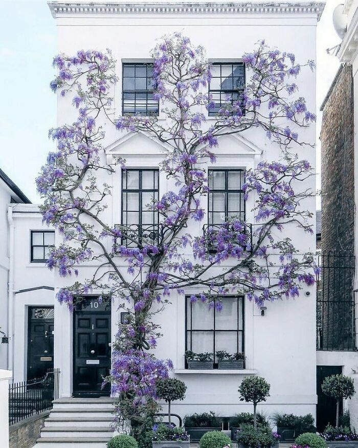 London House That's Basically A Flower Paradise