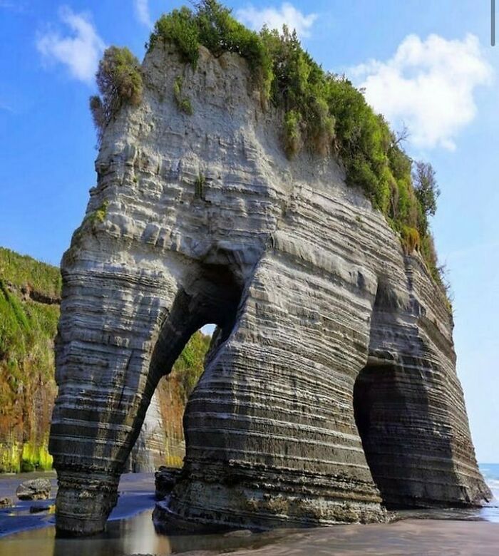 Rock Looks Exactly Like An Elephant, But It's Just Nature Being Silly