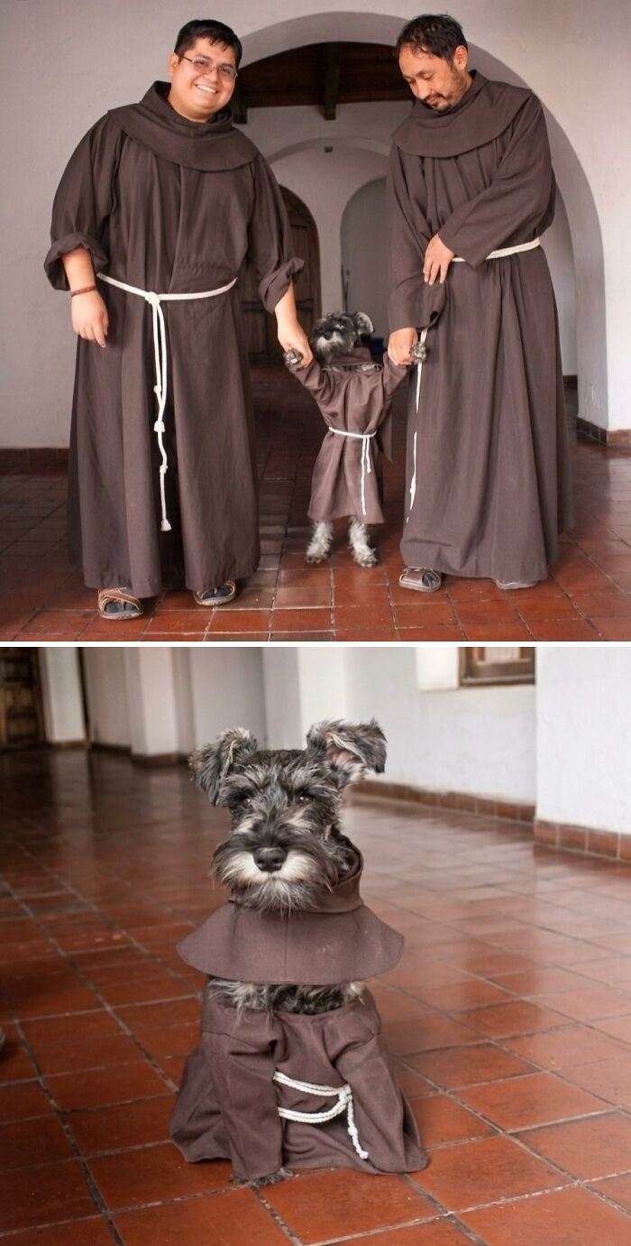 Meet Brother Whiskers: A Monks’ New Furry Member