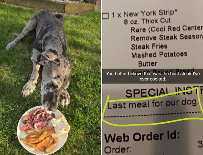 Dog’s Last Meal From Texas Roadhouse Was Filled With Heart