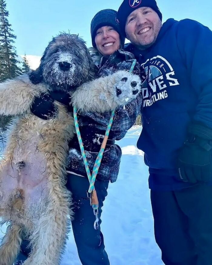 Woman Found Hugging Her Dog 4 Months After She Passed. Total Loyalty.