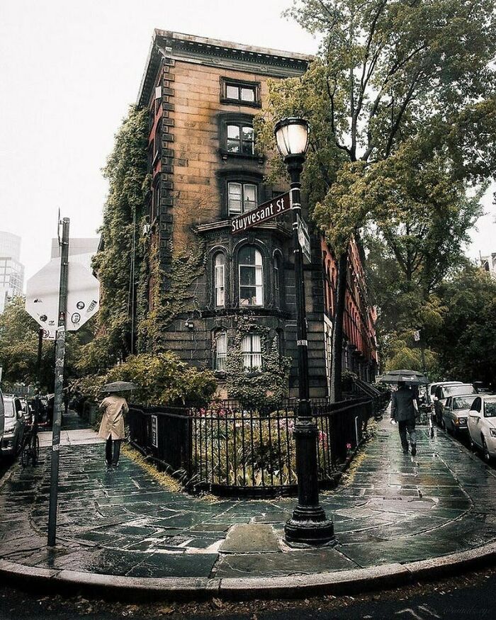 Stuyvesant Street: NYC’s Oldest Cool Cat