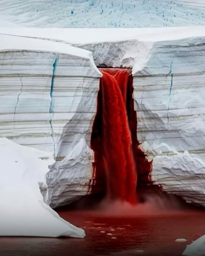 Blood Falls In Antarctica: Nature’s Creepy Waterfall