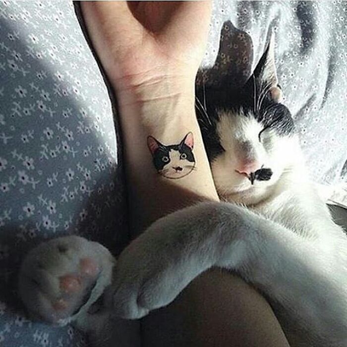 Brace Yourself: 38 Animal Pics That'll Melt Your Brain (In a Good Way)
