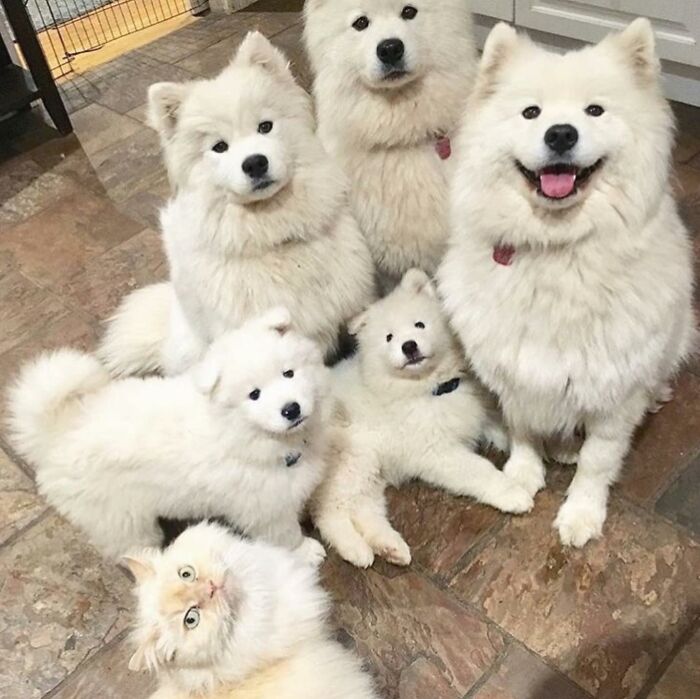 Brace Yourself: 38 Animal Pics That'll Melt Your Brain (In a Good Way)