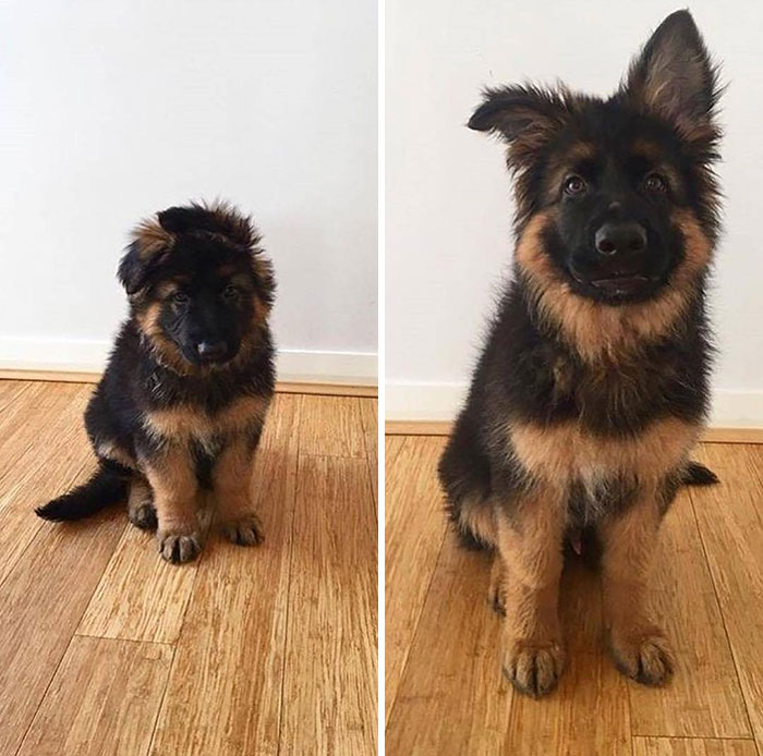 Brace Yourself: 38 Animal Pics That'll Melt Your Brain (In a Good Way)