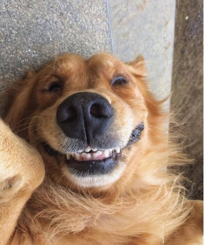 Brace Yourself: 38 Animal Pics That'll Melt Your Brain (In a Good Way)