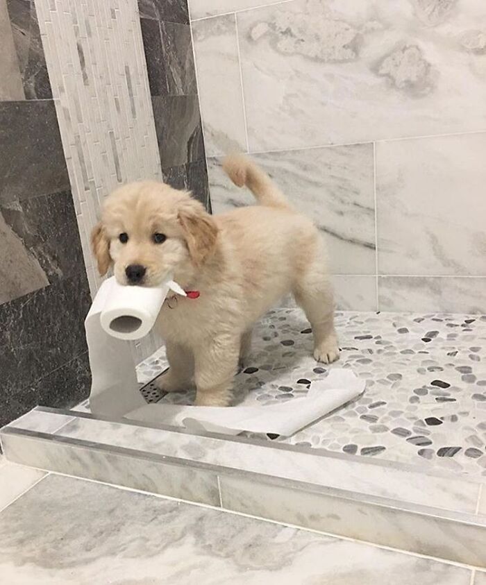 Brace Yourself: 38 Animal Pics That'll Melt Your Brain (In a Good Way)