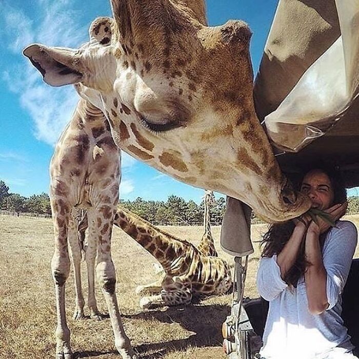 Brace Yourself: 38 Animal Pics That'll Melt Your Brain (In a Good Way)