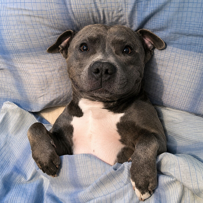 Brace Yourself: 38 Animal Pics That'll Melt Your Brain (In a Good Way)