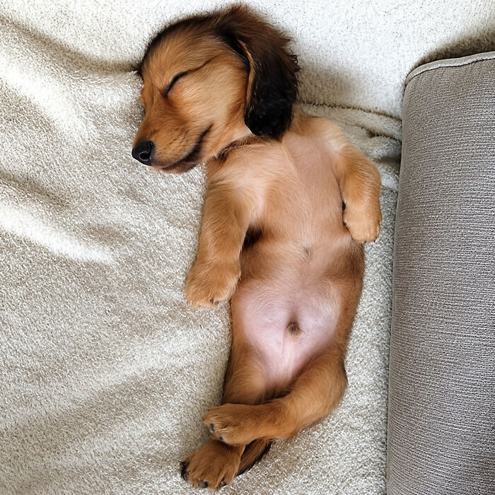 Brace Yourself: 38 Animal Pics That'll Melt Your Brain (In a Good Way)