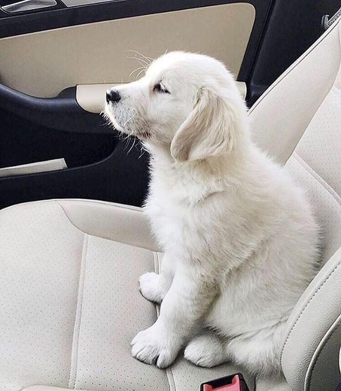 Brace Yourself: 38 Animal Pics That'll Melt Your Brain (In a Good Way)