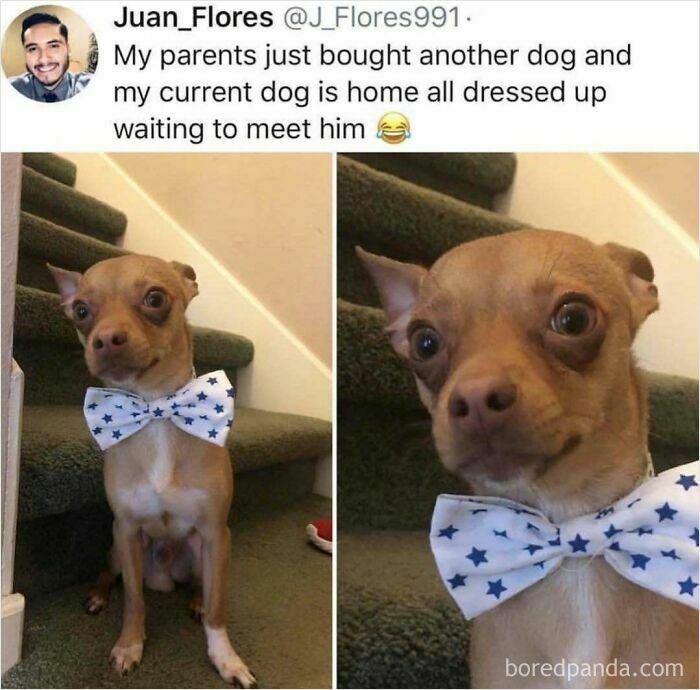 Hold Up—These 25 Feel-Good Stories Will Totally Brighten Your Day