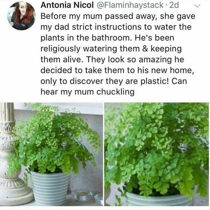 Hold Up—These 25 Feel-Good Stories Will Totally Brighten Your Day