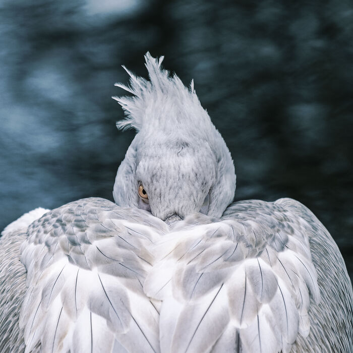 Wait, They Actually Took These Nature Close-Ups? Prepare to Be Amazed!