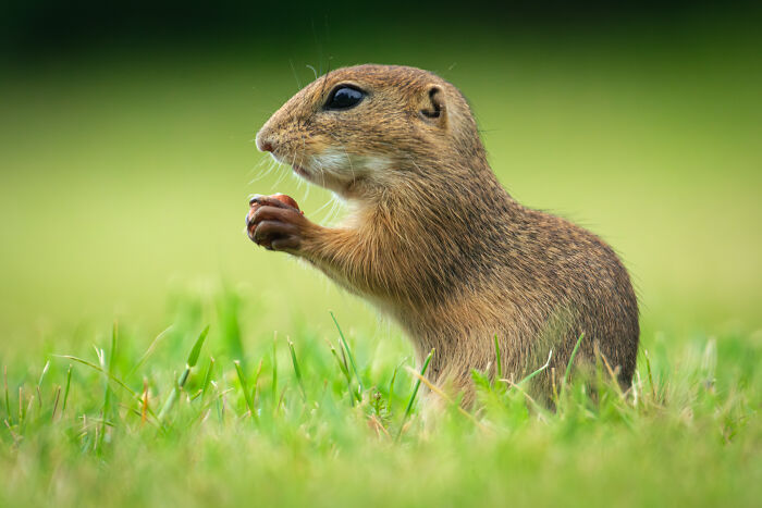 Wait, They Actually Took These Nature Close-Ups? Prepare to Be Amazed!