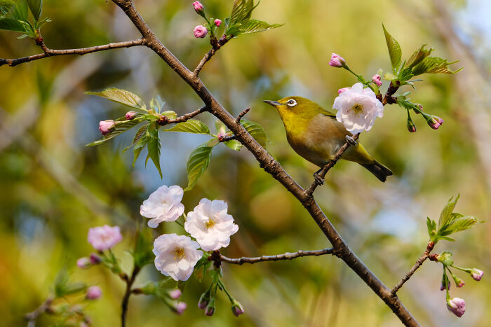 Wait, They Actually Took These Nature Close-Ups? Prepare to Be Amazed!