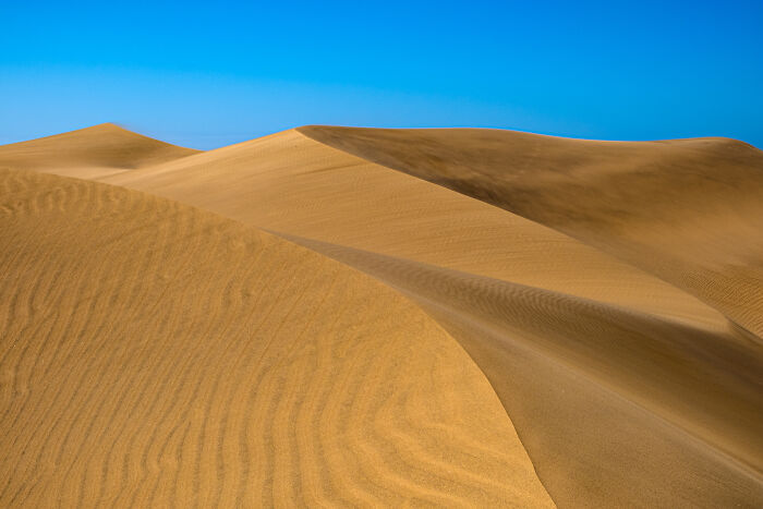 Wait, They Actually Took These Nature Close-Ups? Prepare to Be Amazed!