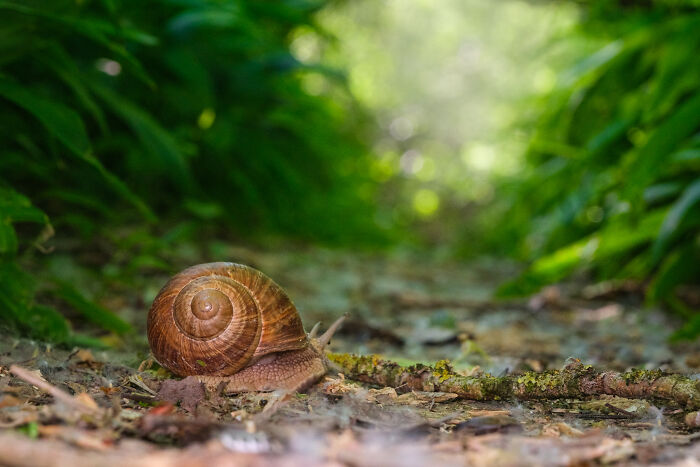 Wait, They Actually Took These Nature Close-Ups? Prepare to Be Amazed!