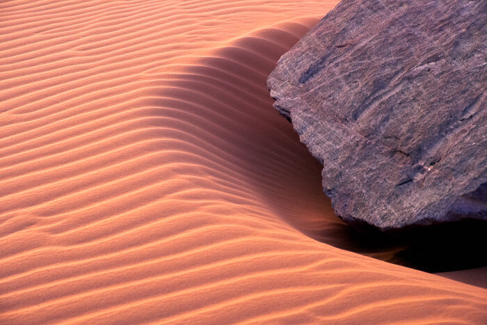 Wait, They Actually Took These Nature Close-Ups? Prepare to Be Amazed!