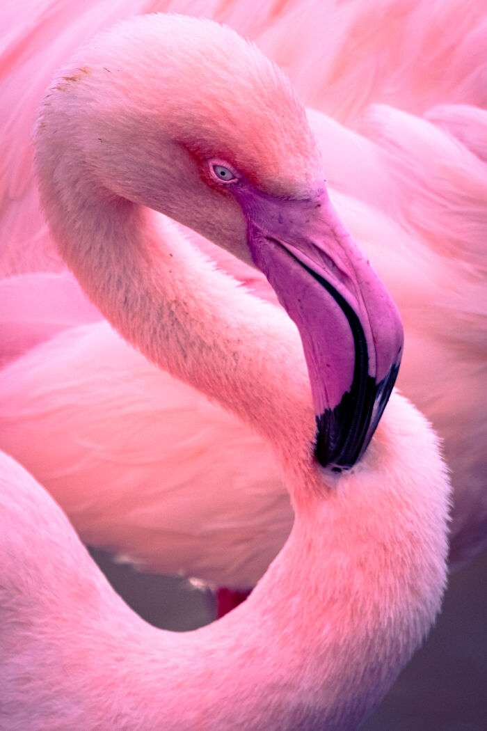 Wait, They Actually Took These Nature Close-Ups? Prepare to Be Amazed!