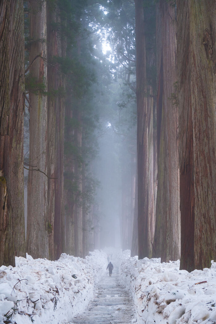 Wait, They Actually Took These Nature Close-Ups? Prepare to Be Amazed!