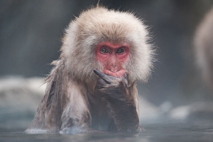 Wait, They Actually Took These Nature Close-Ups? Prepare to Be Amazed!
