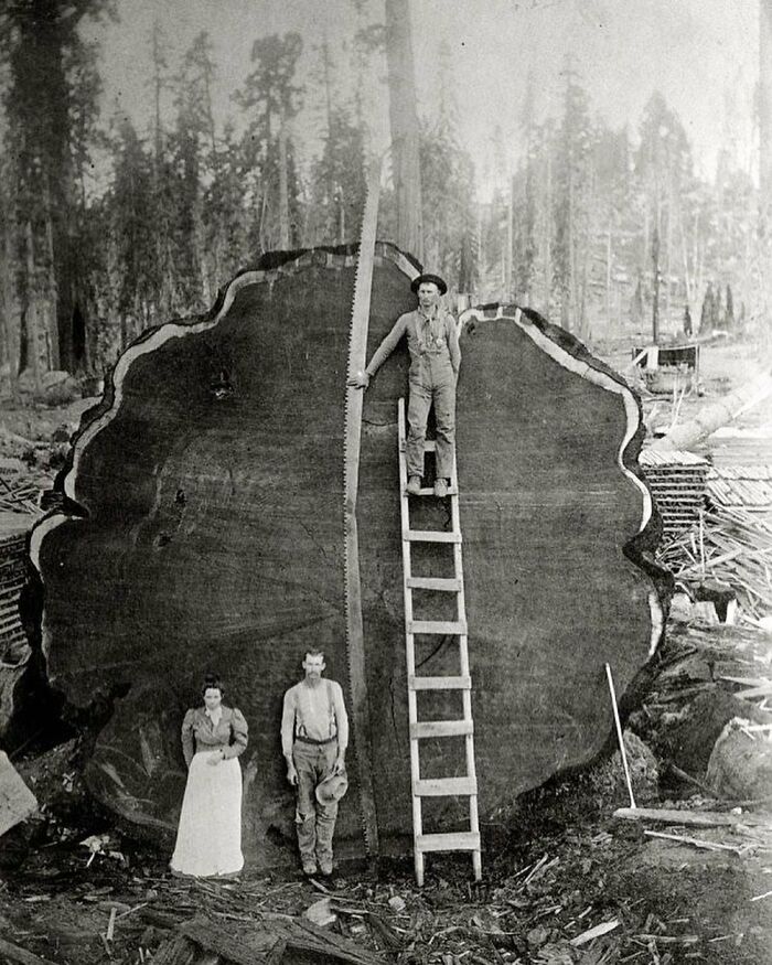 Wait, They Actually Took Photos Like This Back Then? 89 Totally Wild History Pics