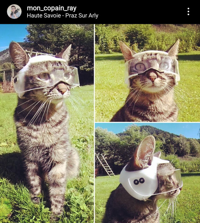 Dude 3D Printed a Helmet for His Cat So They Can Ride Bikes Together