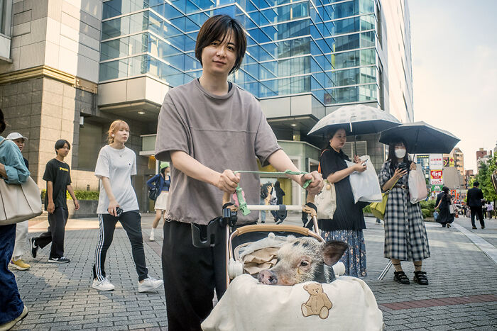 30 Wildly Cool Photos That Prove Japan Is A Street Photographer’s Playground