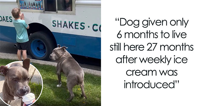 25 Dog Stories That Totally Tugged Our Heartstrings (Prepare To Oooh And Awww)