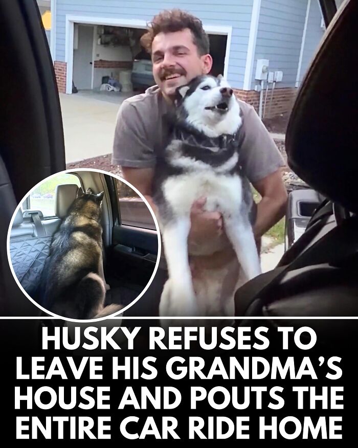 25 Dog Stories That Totally Tugged Our Heartstrings (Prepare To Oooh And Awww)