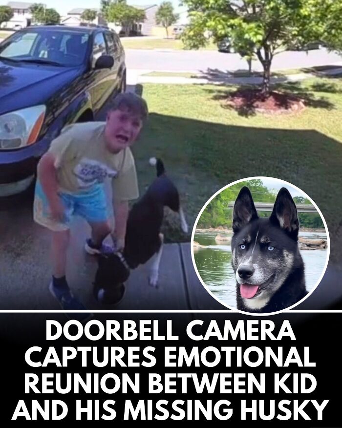 25 Dog Stories That Totally Tugged Our Heartstrings (Prepare To Oooh And Awww)