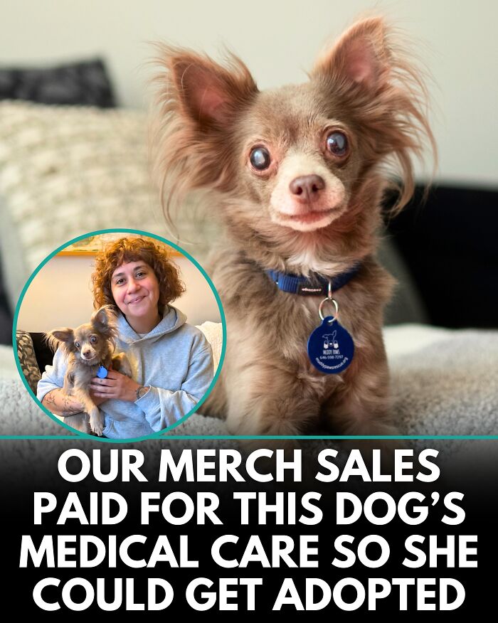 25 Dog Stories That Totally Tugged Our Heartstrings (Prepare To Oooh And Awww)