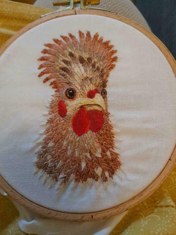 Feathered Friends: Frizzle Chicken Embroidery