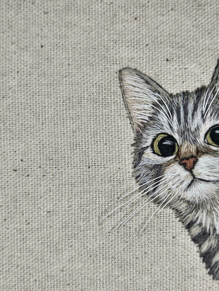 Peek-A-Boo With Some Cute Stitches