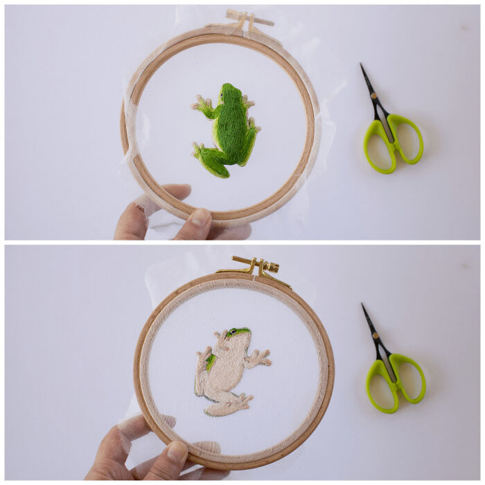 Double-Sided Frog Embroidery on a Window