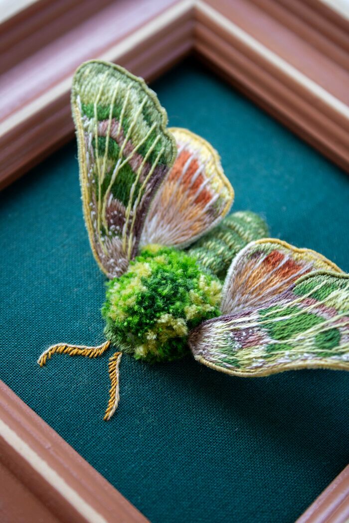 Pacific Green Sphinx Moth in Thread
