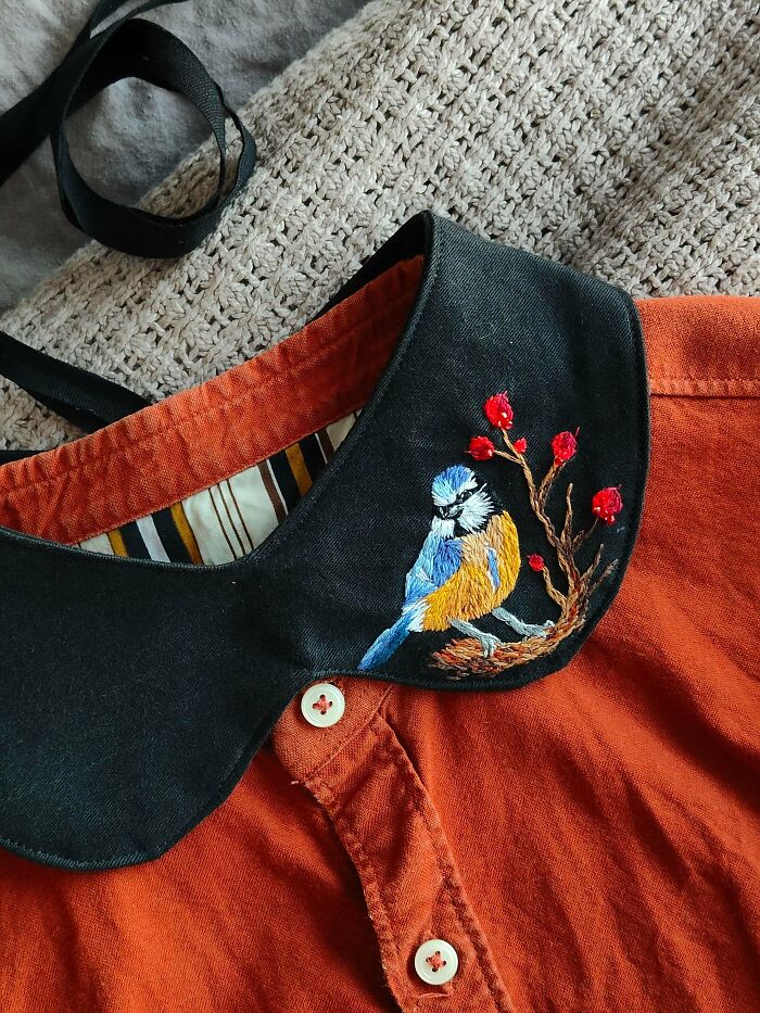 I Sewed a Fake Collar Just to Show Off