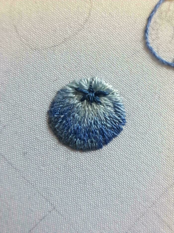 Proud of My Little Blueberry Stitch!