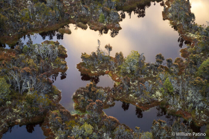 Wetland Colors From the Sky