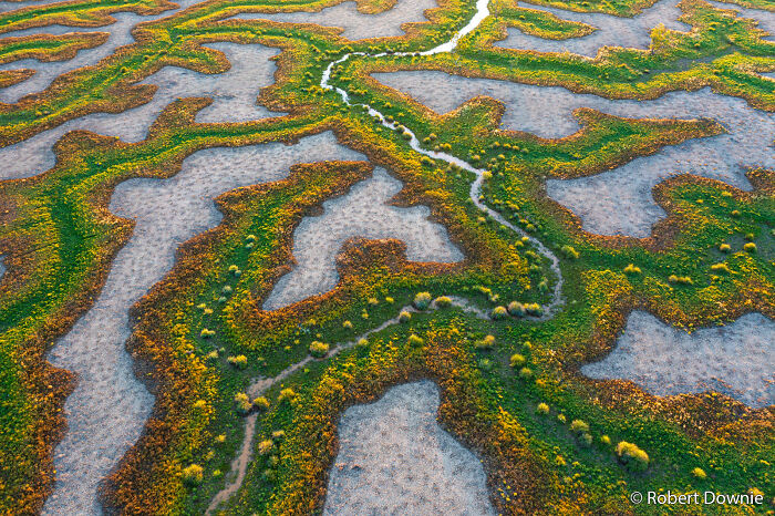 Floodwaters: Outback's Temporary Life