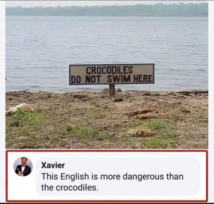 Meet Xavier: The King of Savage Internet Replies That’ll Crack You Up