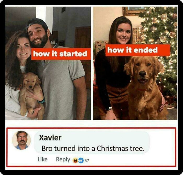 Meet Xavier: The King of Savage Internet Replies That’ll Crack You Up