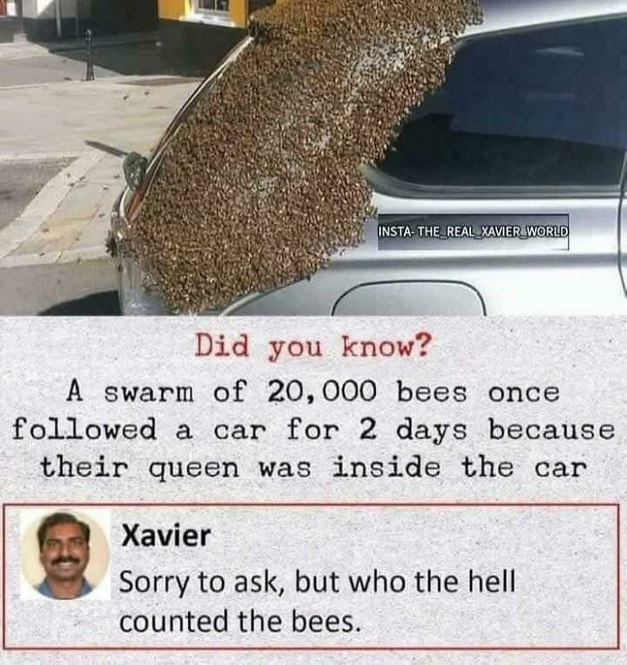 Meet Xavier: The King of Savage Internet Replies That’ll Crack You Up