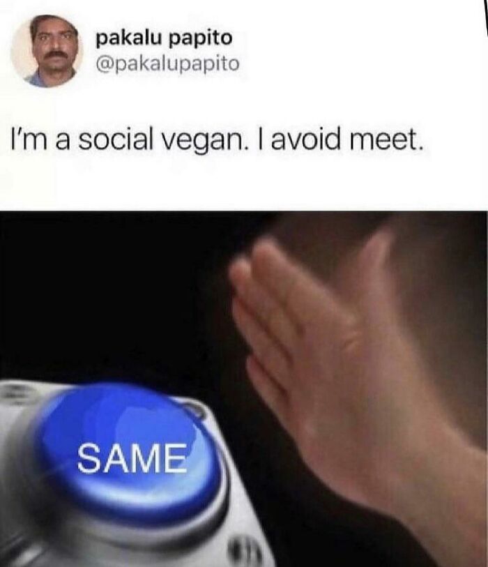 Meet Xavier: The King of Savage Internet Replies That’ll Crack You Up