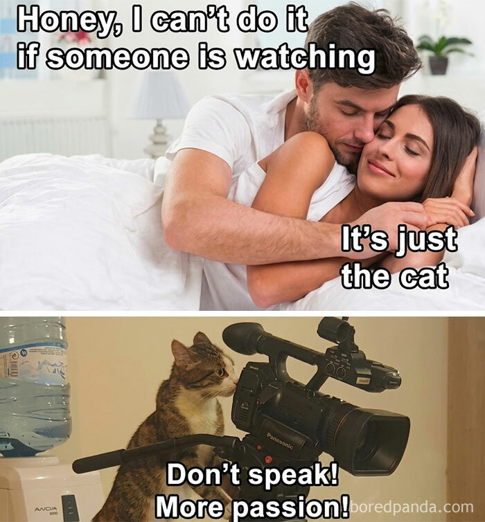 These 61 “Blursed” Memes Are So Weird, You Won't Know If You're Laughing or Crying