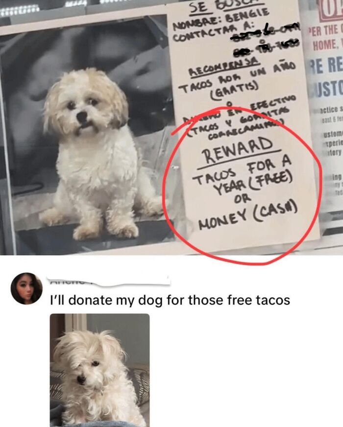 These 61 “Blursed” Memes Are So Weird, You Won't Know If You're Laughing or Crying