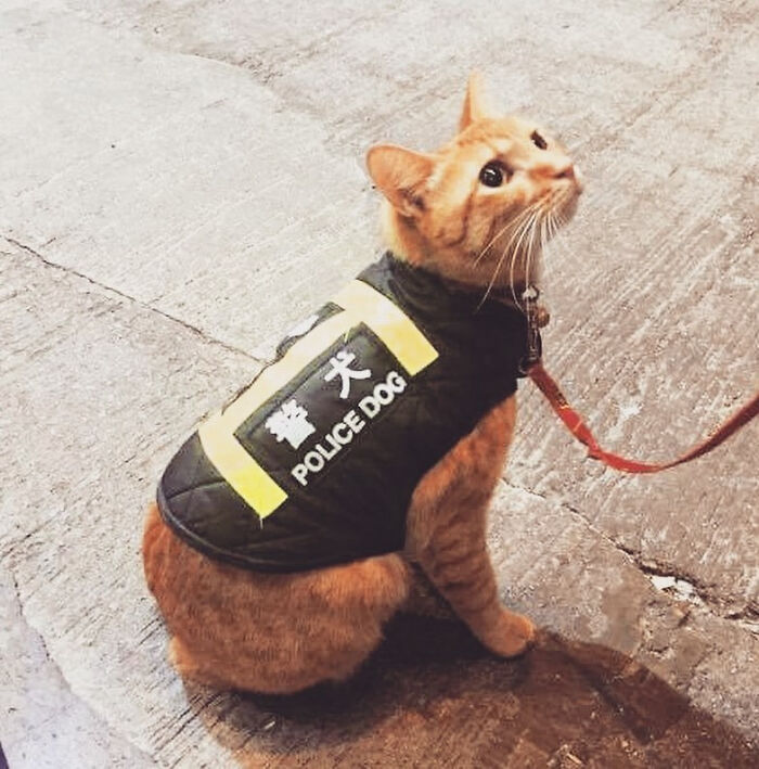 Oops! People Totally Blew Their One Job and We Can’t Stop Laughing