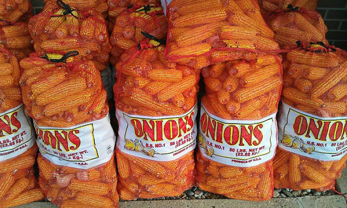 Oops! People Totally Blew Their One Job and We Can’t Stop Laughing